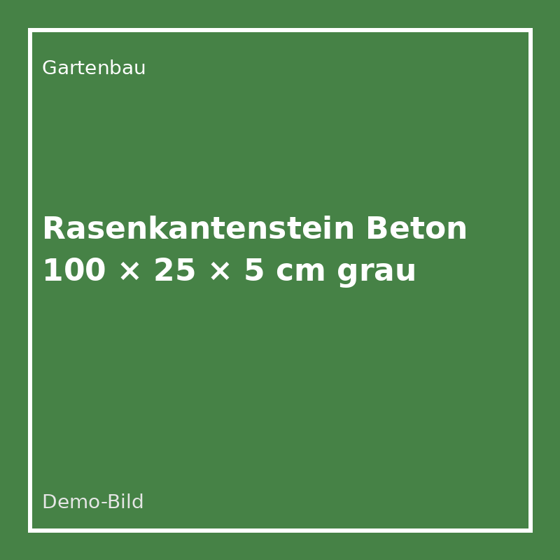[GA-RKS-100] Rasenkantenstein Beton 100 × 25 × 5 cm grau