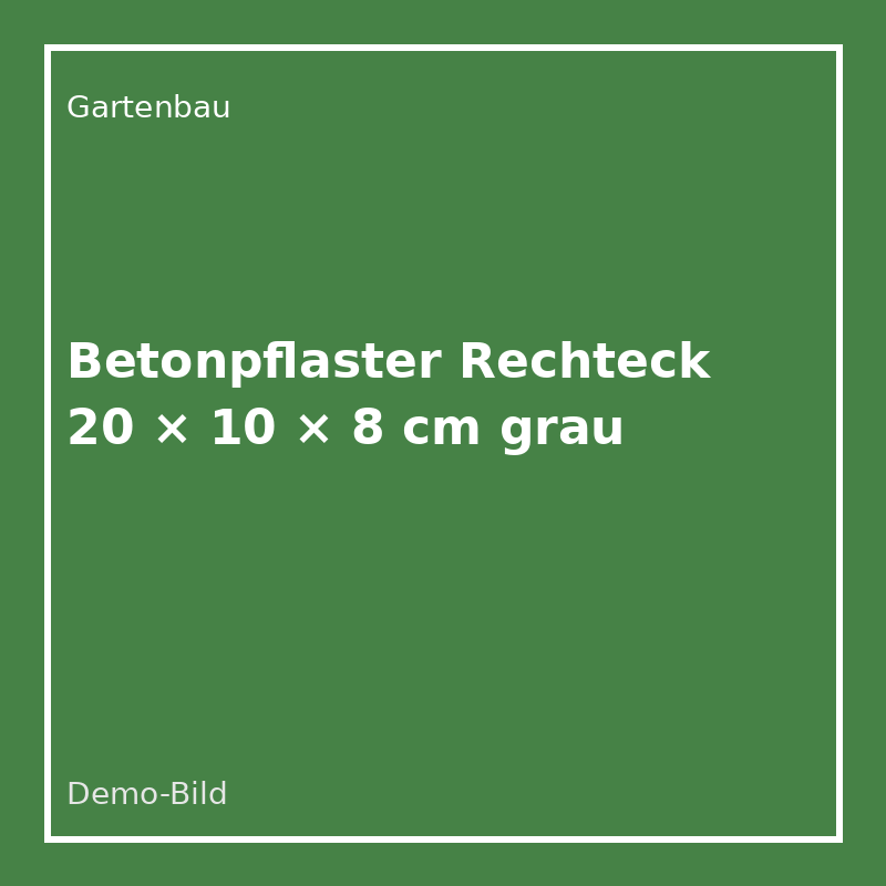 [PF-2010-8-GR] Betonpflaster Rechteck 20 × 10 × 8 cm grau