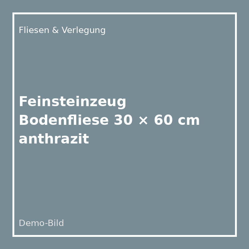 [FL-3060-AN] Feinsteinzeug Bodenfliese 30 × 60 cm anthrazit